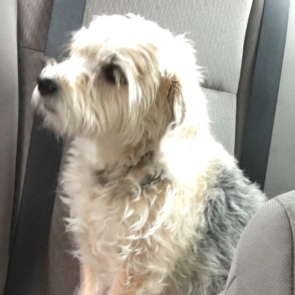 Everything Beyond This Point Is Sold! Thanks You! - Picture 5 of 7